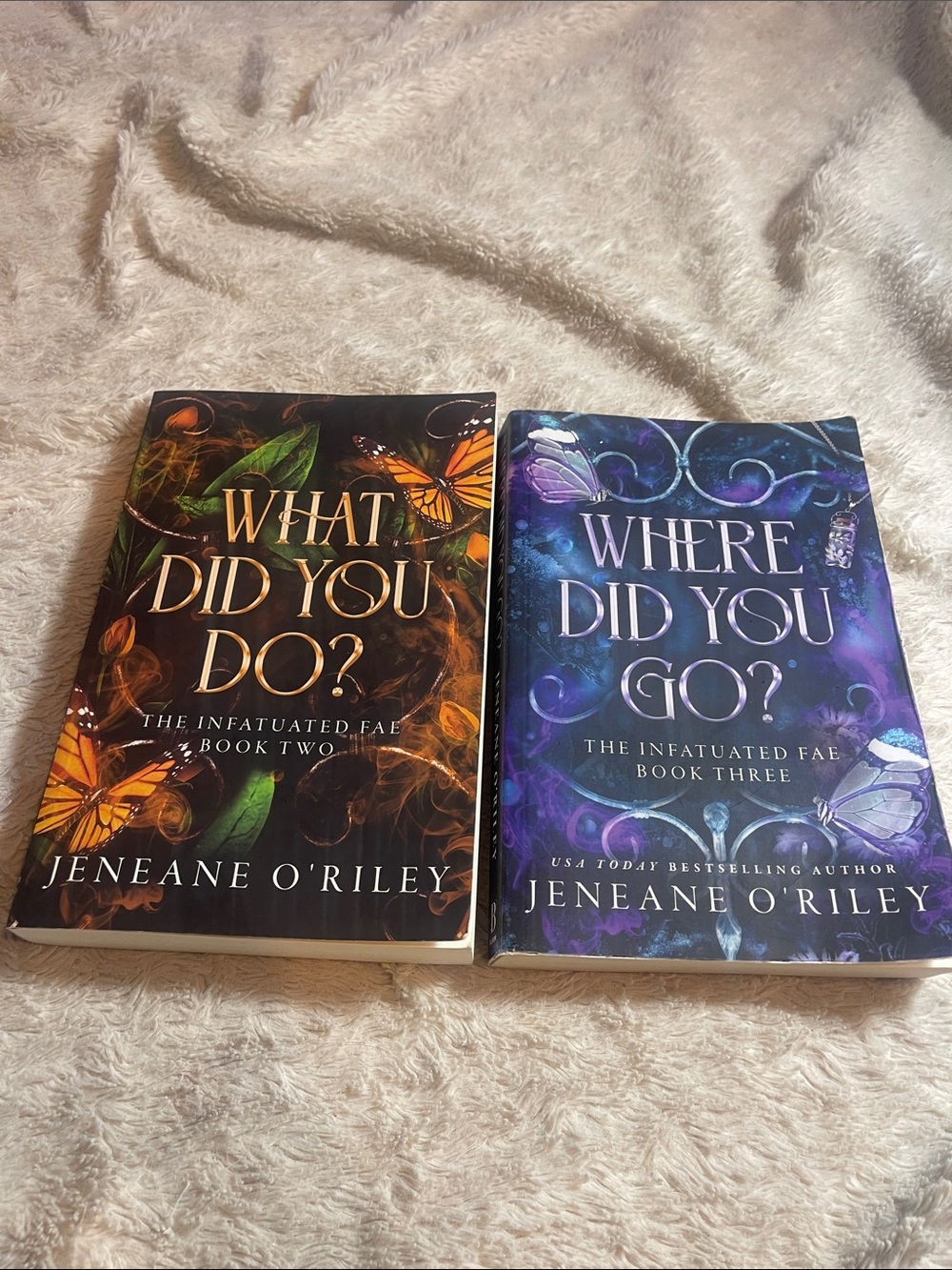 What Did You Do? & Where Did You Go? - The infatuated Faye book 2, and book 3.